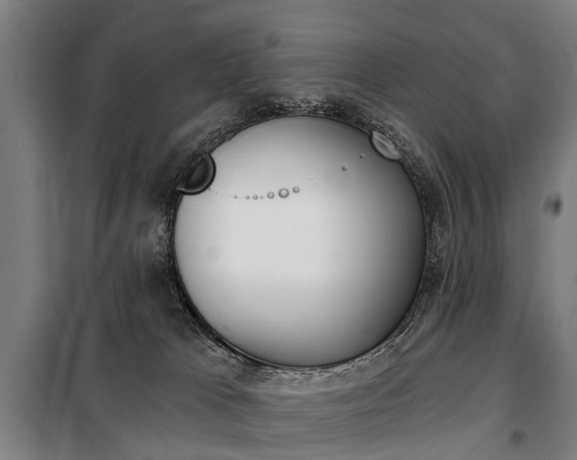 X0000100870037200806200913