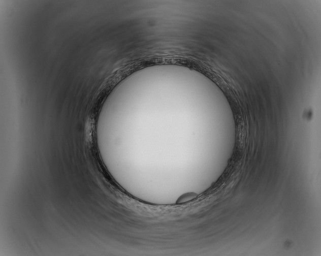 X0000100870038200806200913