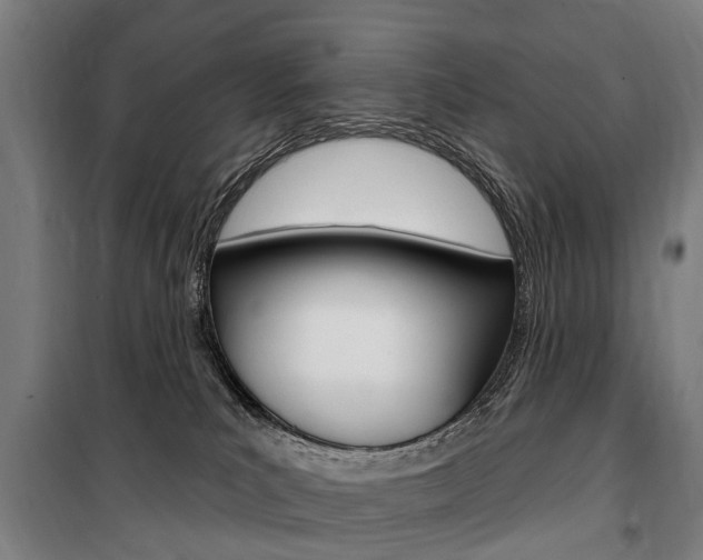 X0000100870039200806200913