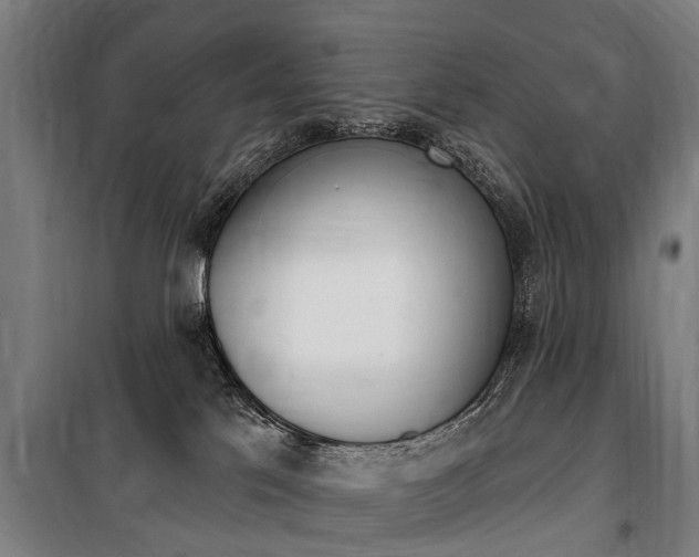 X0000100870041200806200913