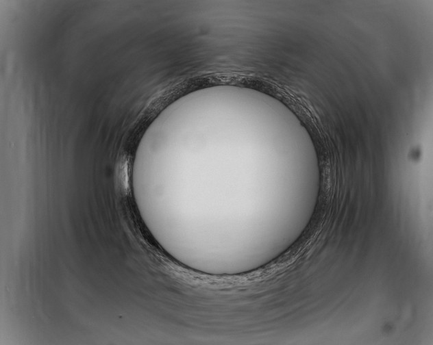 X0000100870042200806200913
