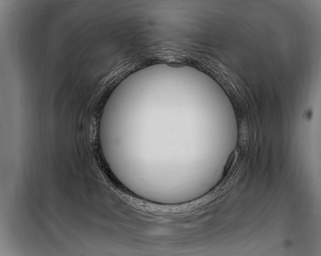 X0000100870043200806200913