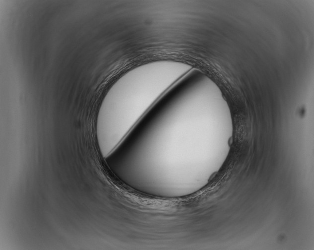 X0000100870044200806200913