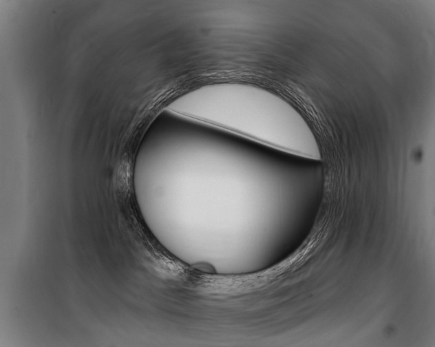 X0000100870045200806200913