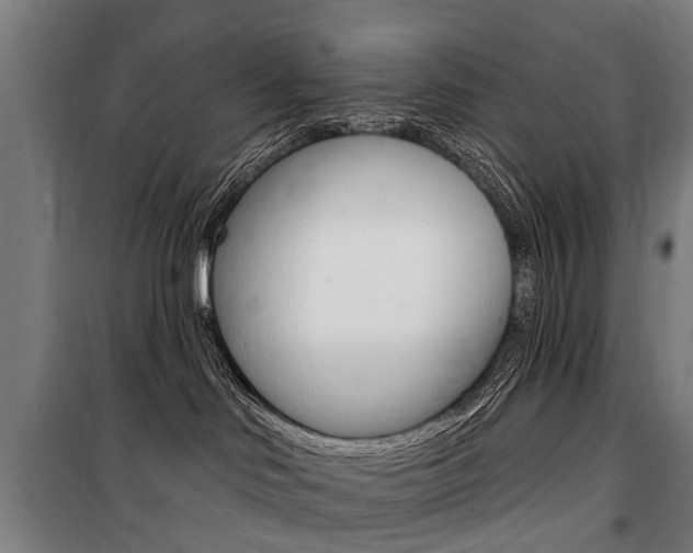 X0000100870046200806200913