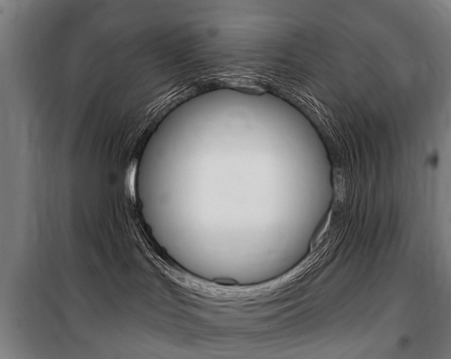 X0000100870047200806200913