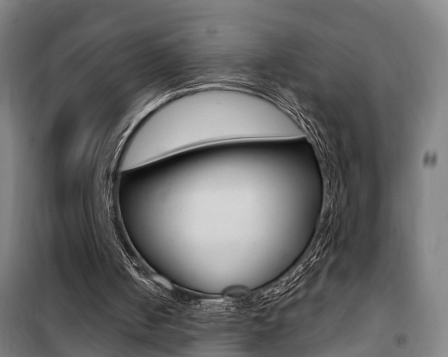 X0000100870050200806200912