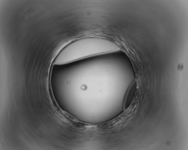 X0000100870052200806200912