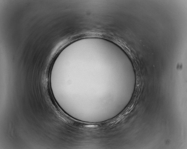 X0000100870053200806200912