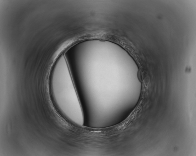 X0000100870054200806200912
