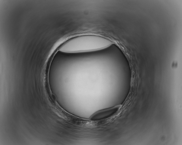 X0000100870056200806200912