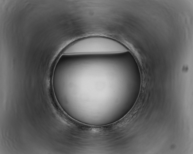 X0000100870060200806200912