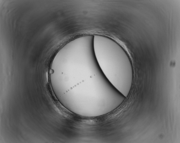 X0000100870061200806200912