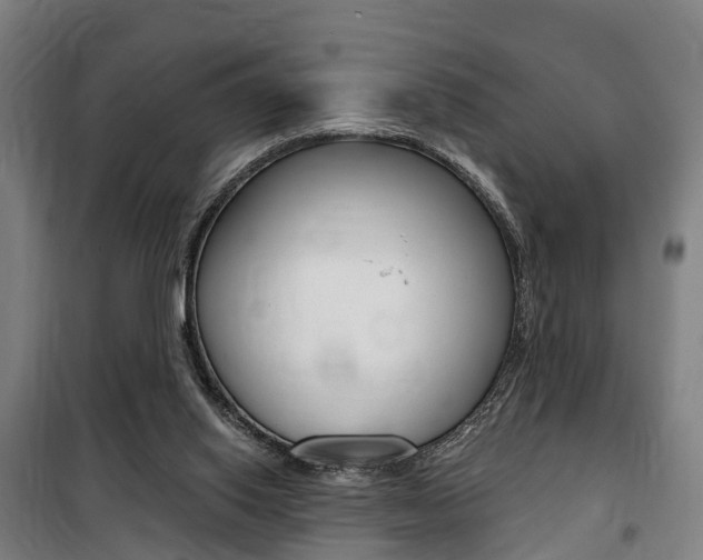 X0000100870062200806200912