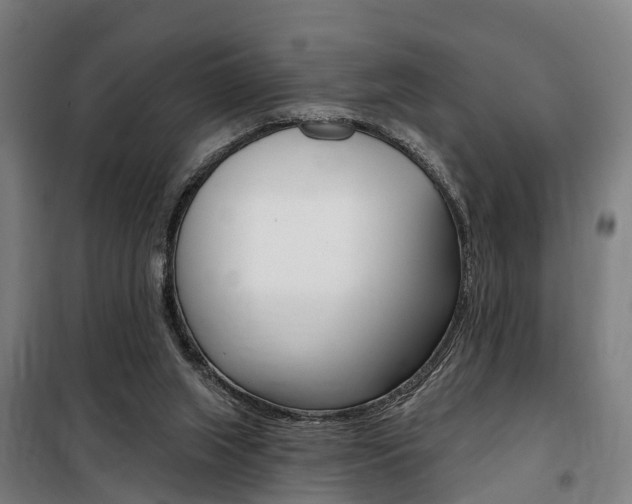 X0000100870063200806200912