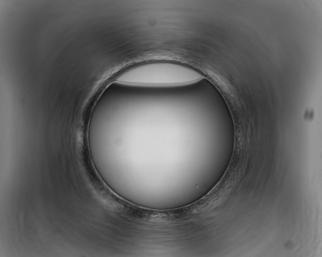 X0000100870064200806200912