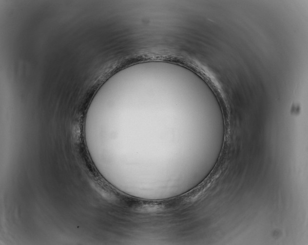 X0000100870065200806200912