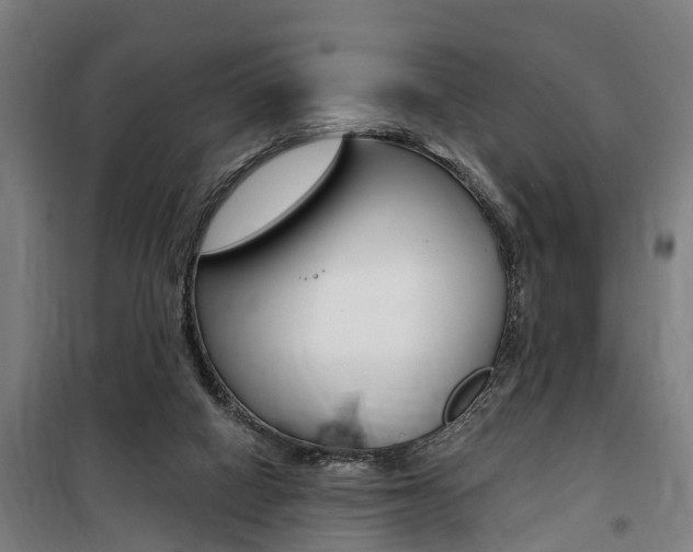 X0000100870066200806200912
