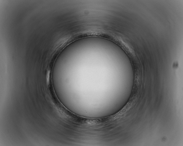 X0000100870070200806200913