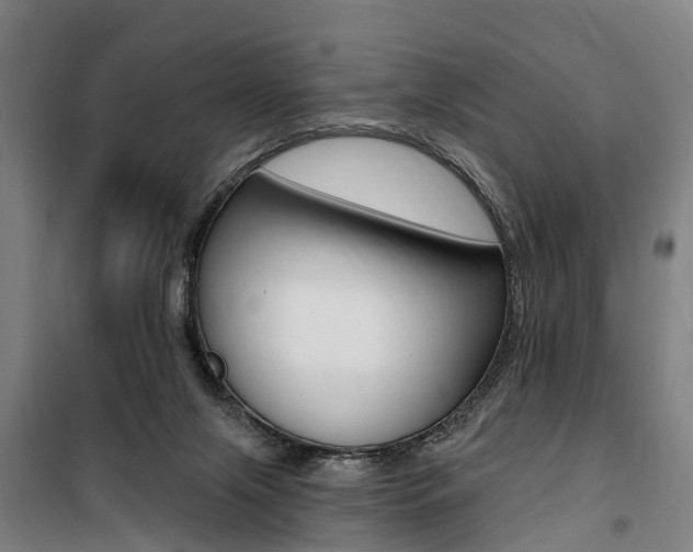 X0000100870071200806200913
