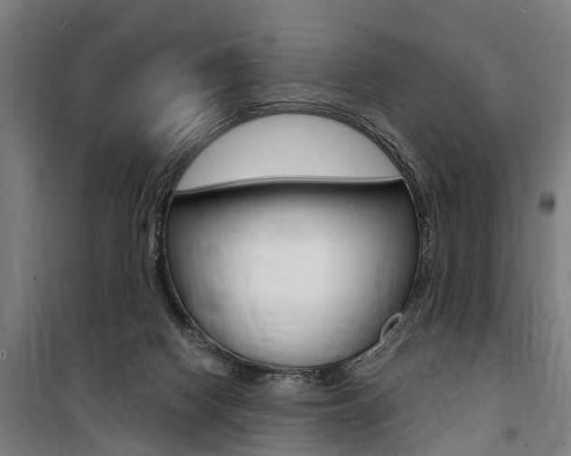 X0000100870074200806200913