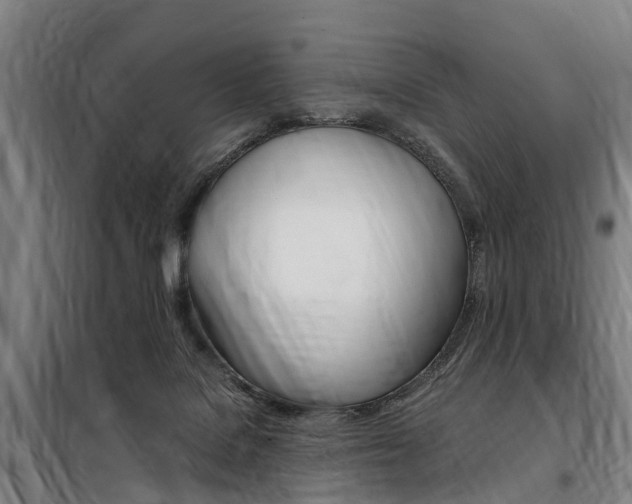 X0000100870076200806200913