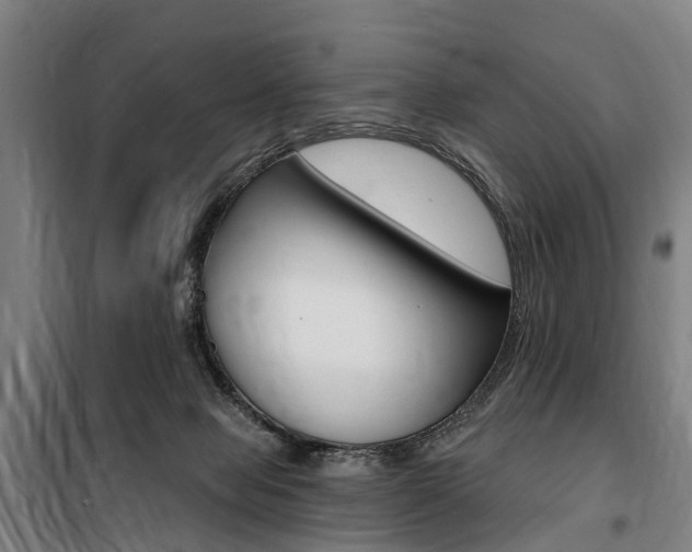 X0000100870077200806200913