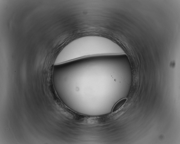 X0000100870078200806200913