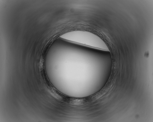 X0000100870081200806200913