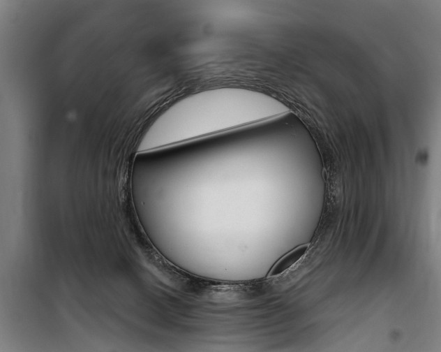 X0000100870082200806200913
