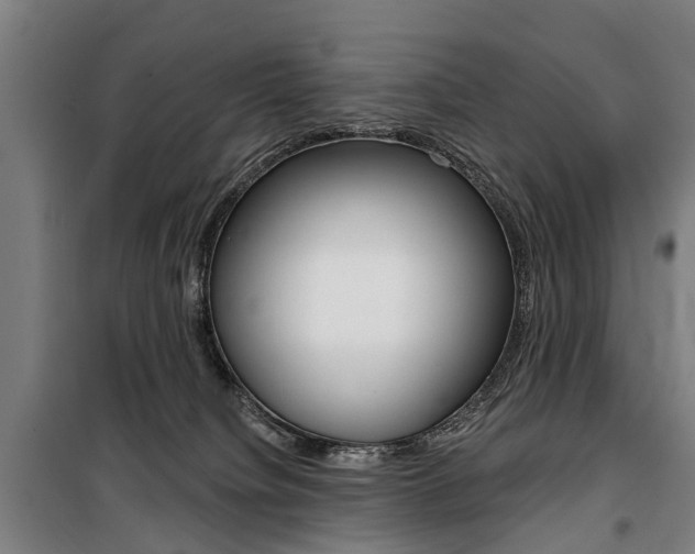 X0000100870084200806200913