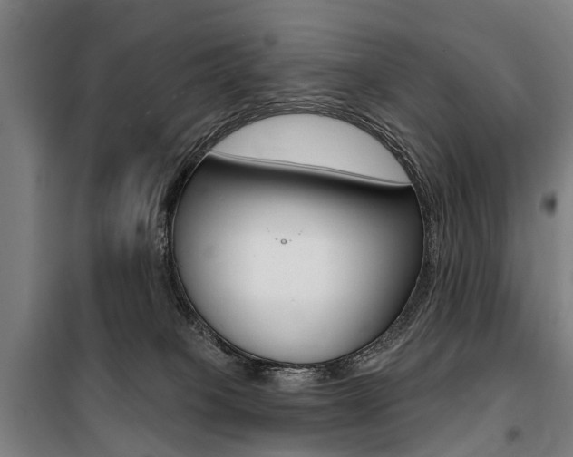 X0000100870085200806200913