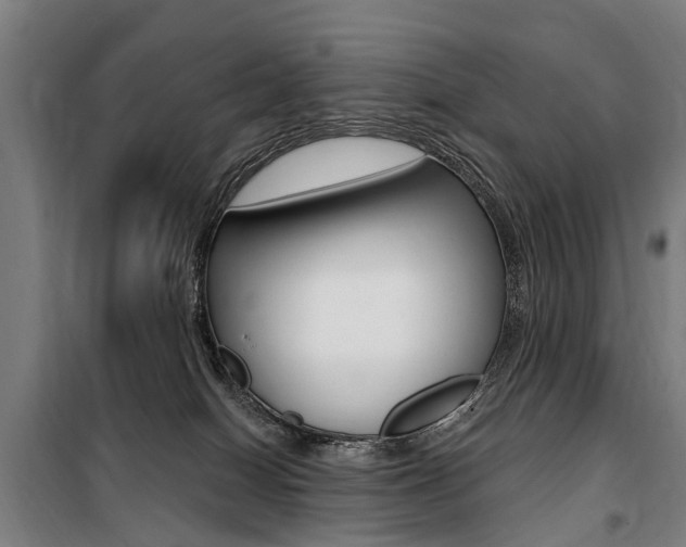 X0000100870086200806200913