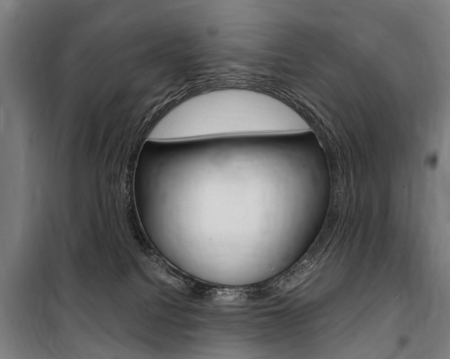 X0000100870088200806200913