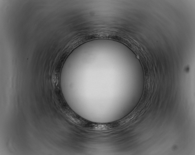 X0000100870091200806200913