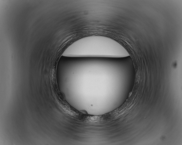 X0000100870092200806200913
