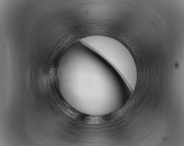 X0000100870093200806200913