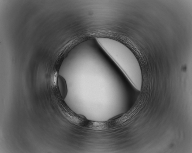 X0000100870095200806200913