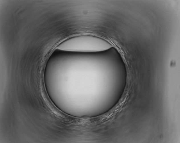X0000100870097200806200912