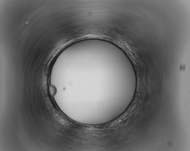 X0000100870098200806200912