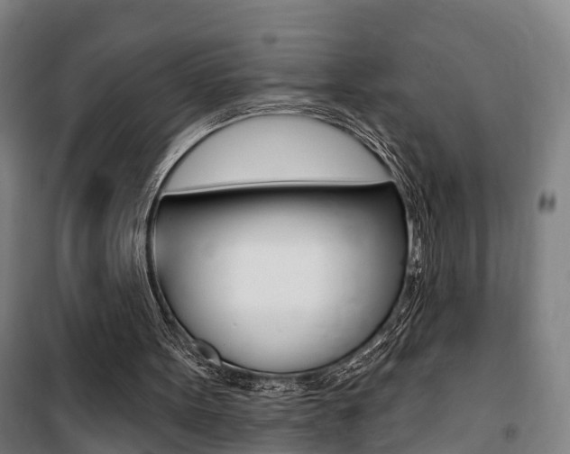 X0000100870099200806200912