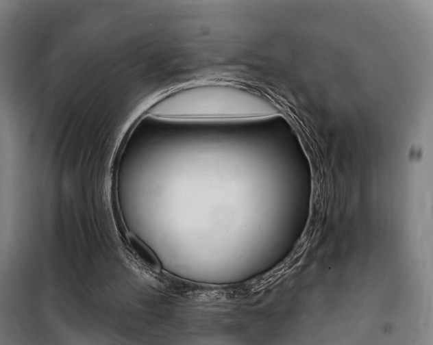 X0000100870100200806200912