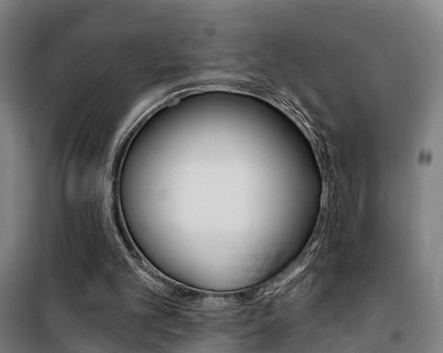 X0000100870101200806200912