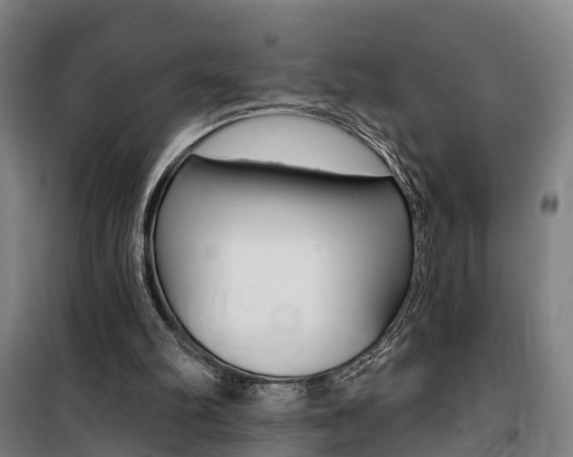 X0000100870102200806200912