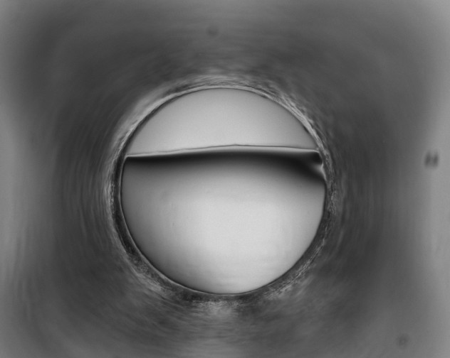 X0000100870103200806200912