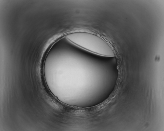 X0000100870104200806200912