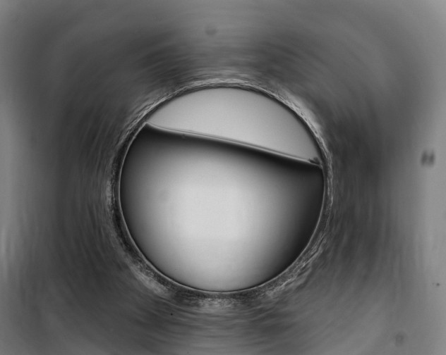 X0000100870105200806200912