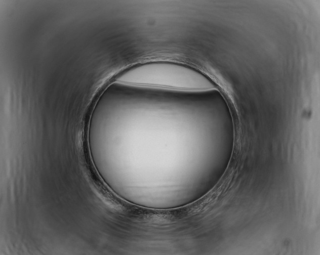 X0000100870107200806200912