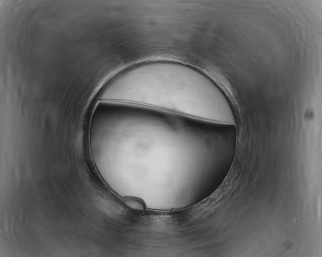 X0000100870108200806200912