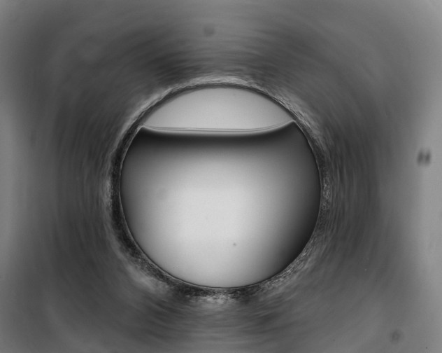 X0000100870112200806200912